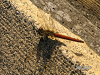 s_PICT0271_thumb.png